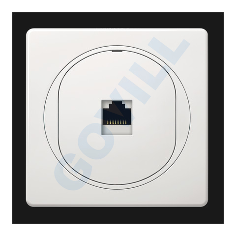 Aling-Conel 1xRJ45 csatlakozó aljzat Keystone betéttel, Cat6A UTP, keret nélkül, fehér 